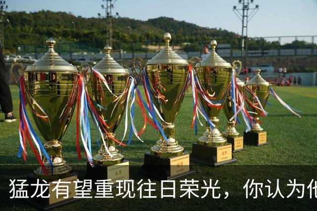 猛龙有望重现往日荣光，你认为他们的前景怎样？